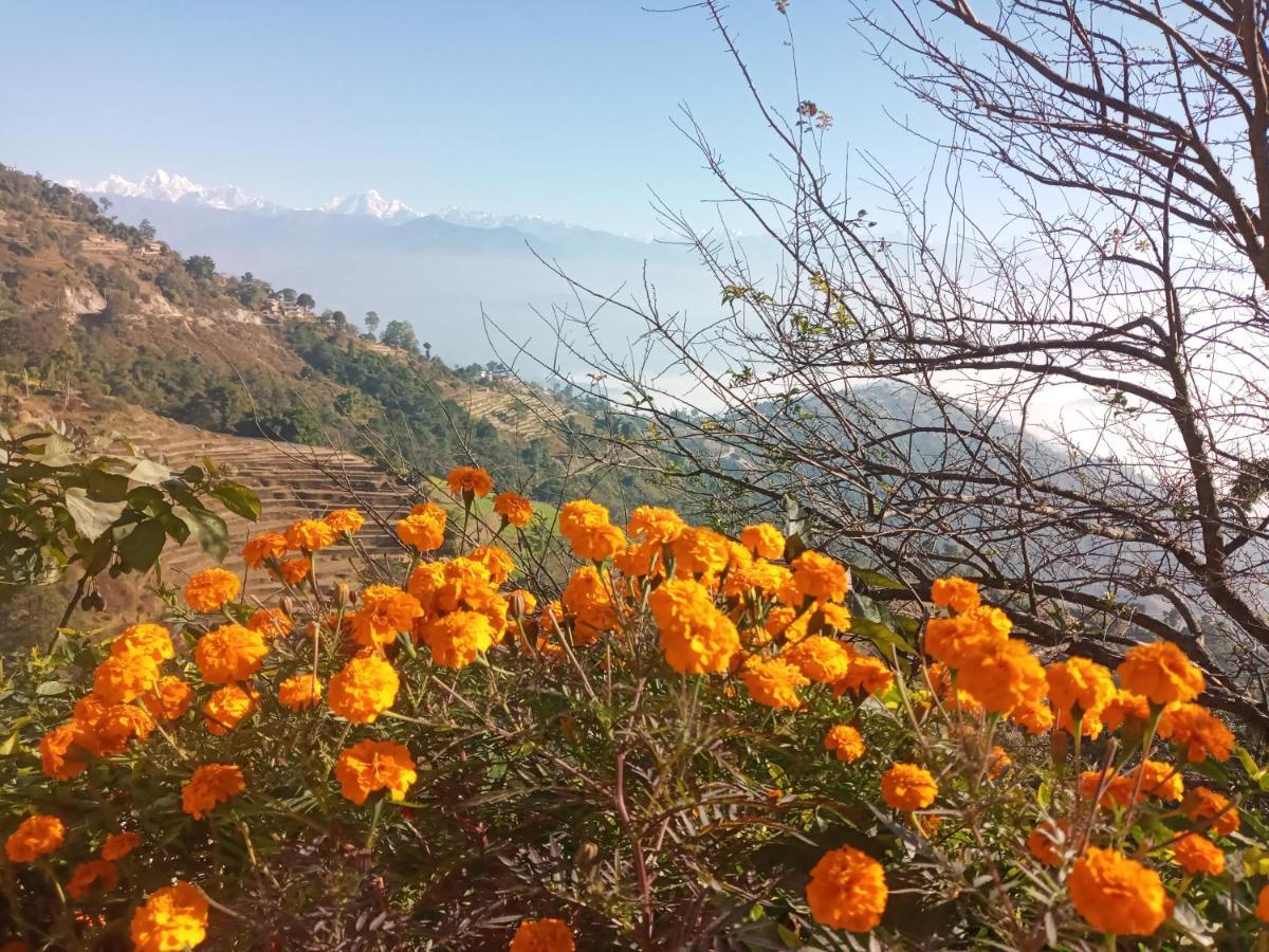 Unique Point Home Stay Nagarkot Eksteriør bilde
