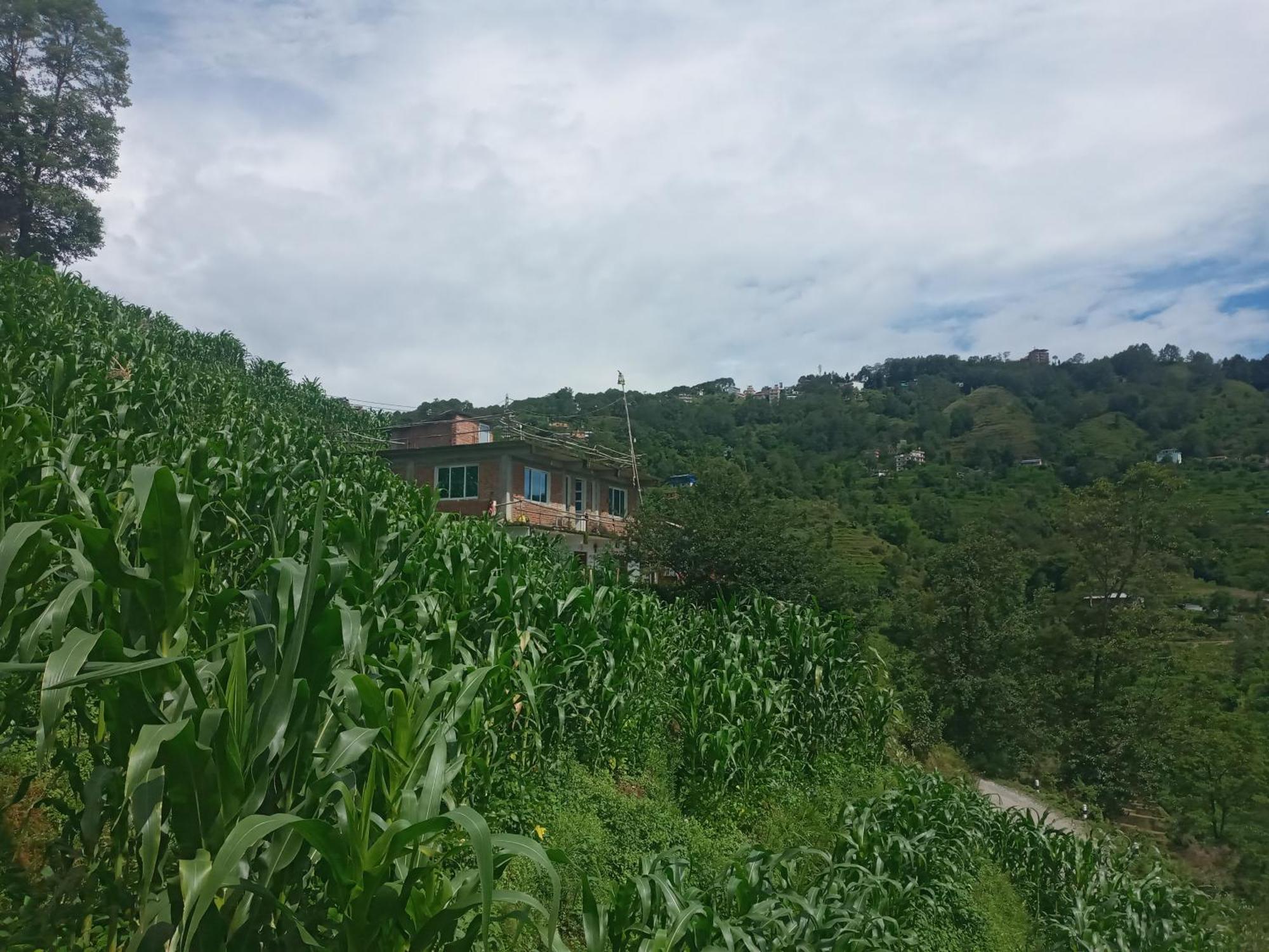 Unique Point Home Stay Nagarkot Eksteriør bilde