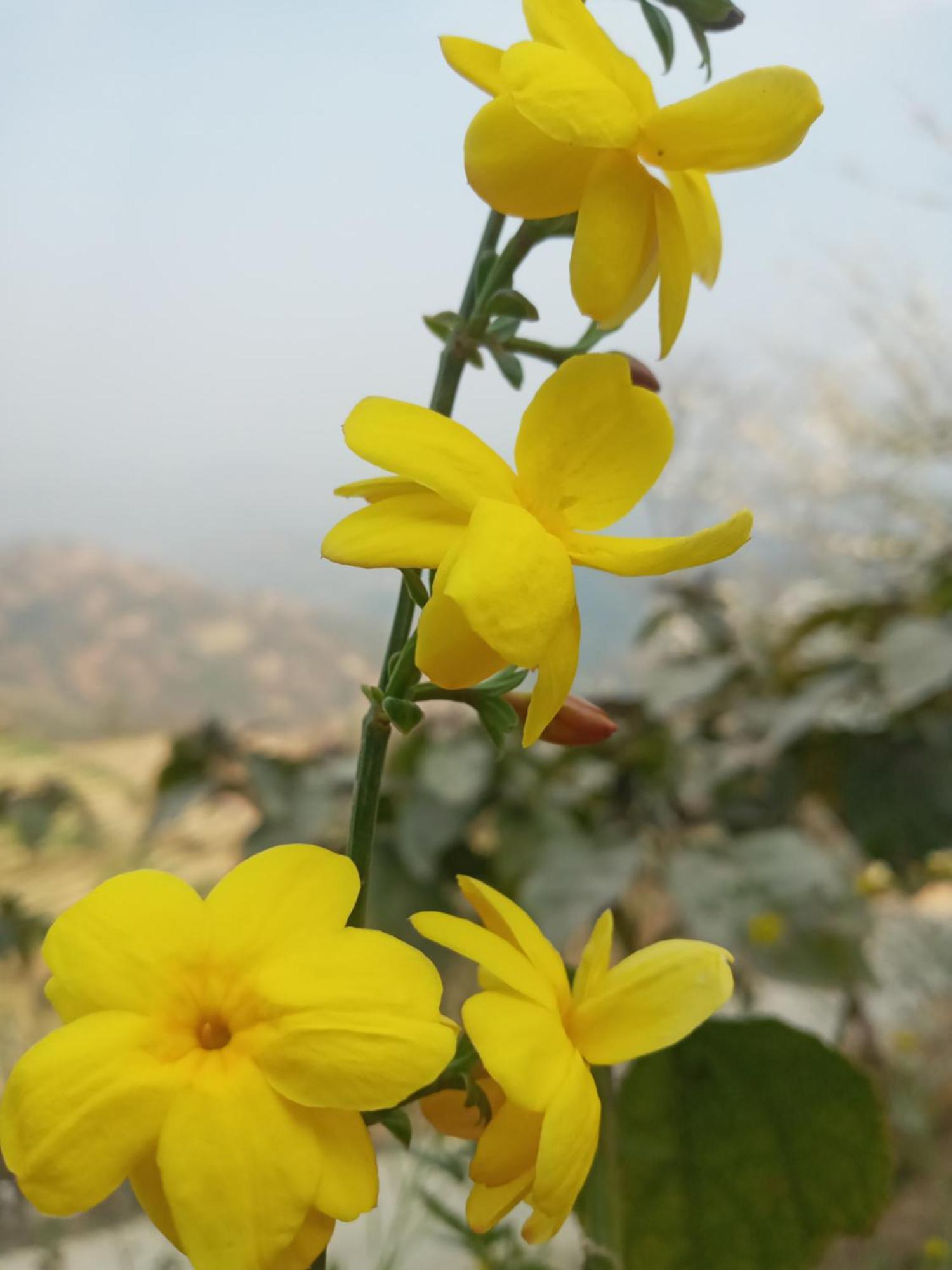 Unique Point Home Stay Nagarkot Eksteriør bilde
