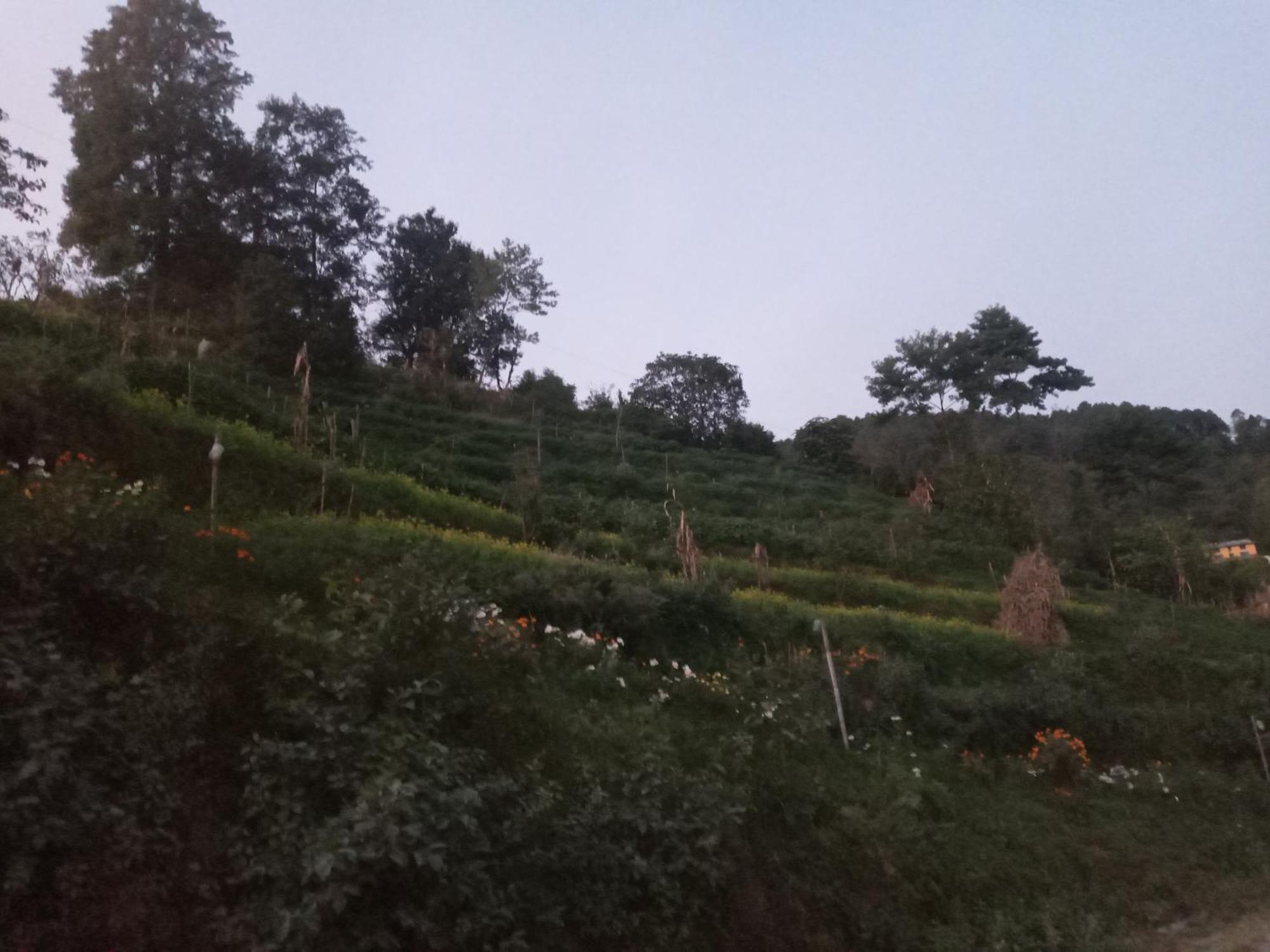 Unique Point Home Stay Nagarkot Eksteriør bilde